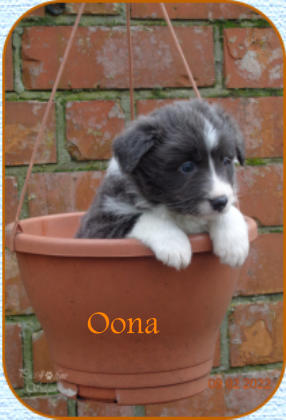 Oona